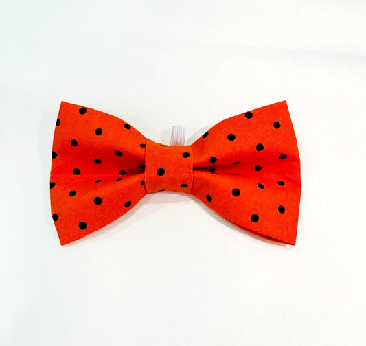 Orange Polkadot Bow Tie