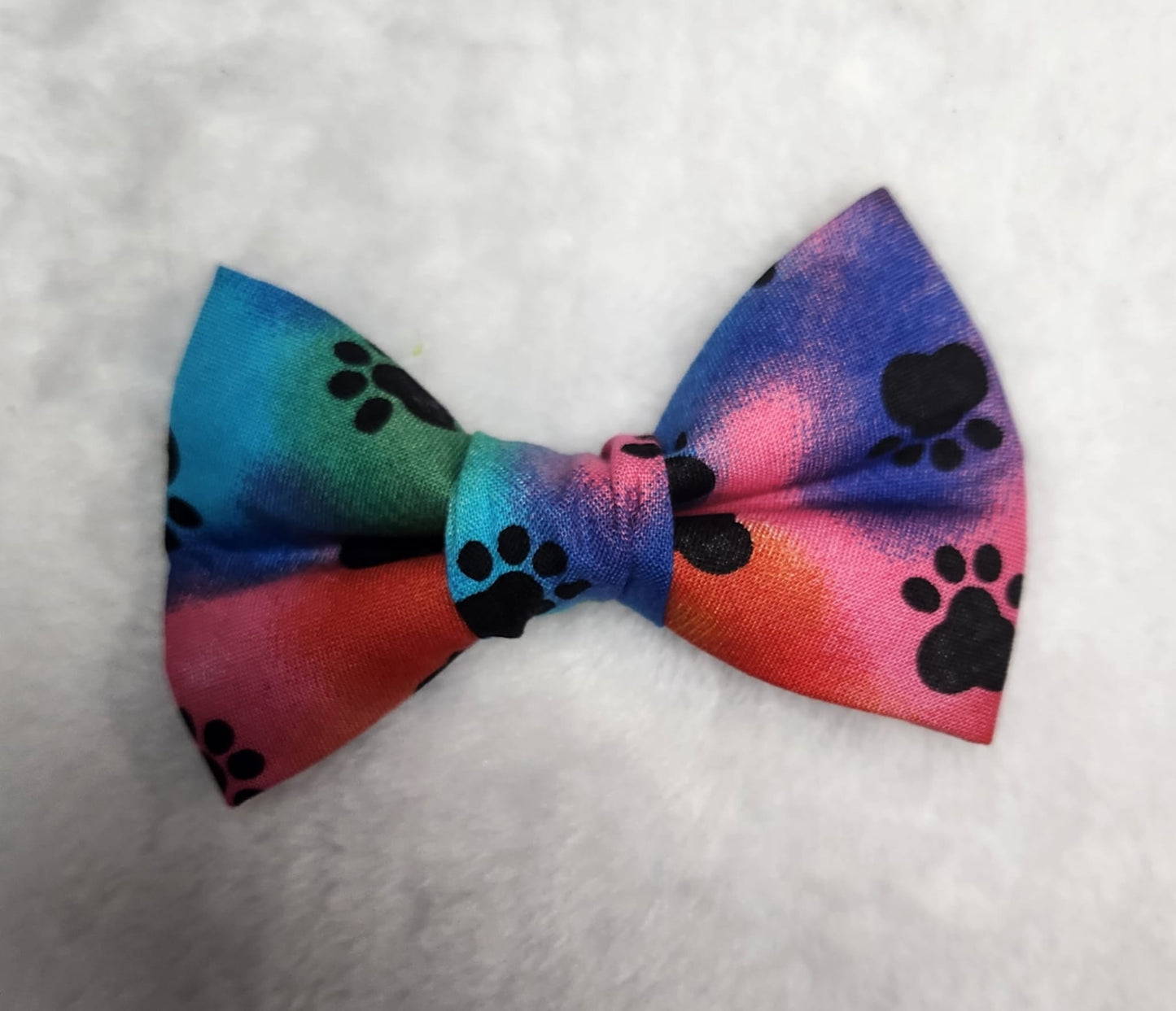 Neon Paws Bow