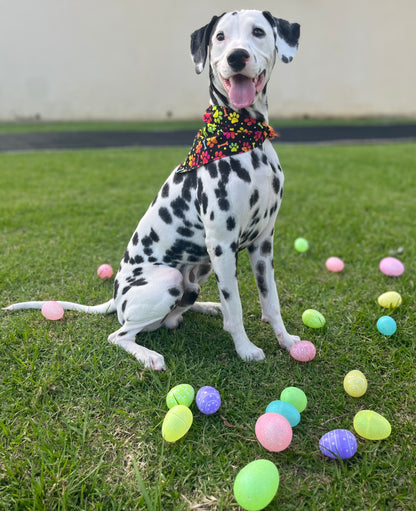 Neon Paws & Bones